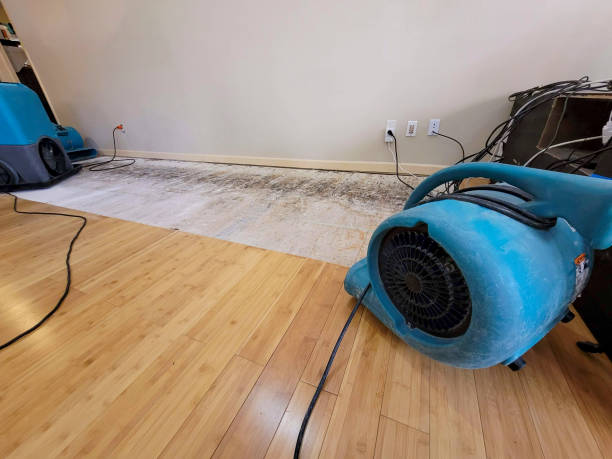 Professional Sewage Cleanup technician working in Sprague, WA